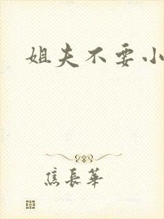 姐夫不要小说