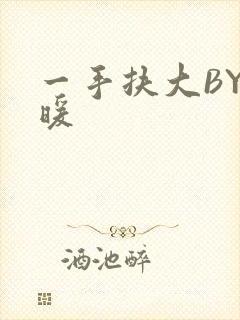 一手扶大BY泱暖封面