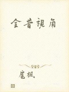 金昔视角封面