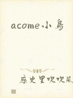 acome小鸟封面