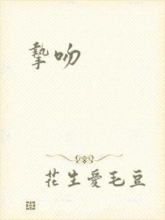 挚吻