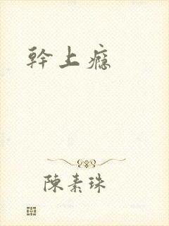 干上瘾封面