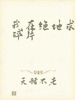 我在绝地求生捡碎片封面