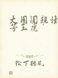 大团圆亲情会王芳王虎封面