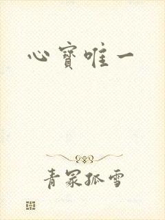 心宝唯一