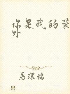 你是我的荣耀番外