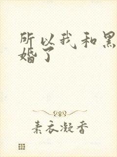 所以我和黑粉结婚了