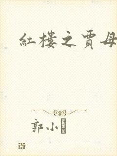 红楼之贾母