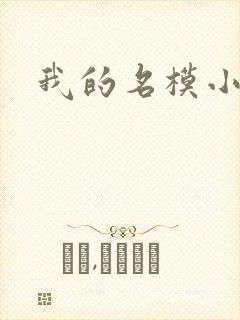 我的名模小娇妻