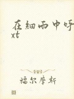 在细雨中呼喊txt