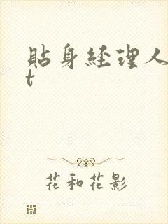 贴身经理人txt封面