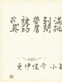 我被带到满是玩具的房间挑调游戏