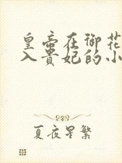 皇帝在御花园进入贵妃的小说