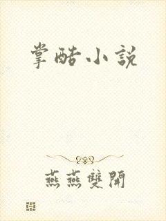掌酷小说