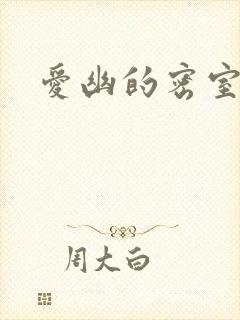 爱幽的密室小说