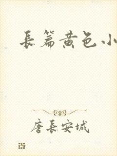 长篇黄色小说