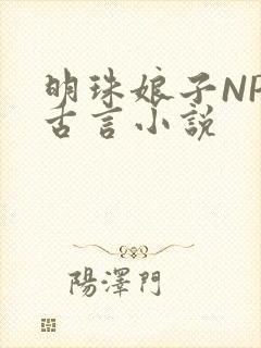 明珠娘子NPC古言小说