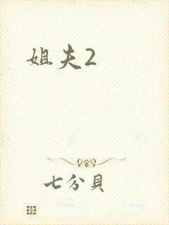姐夫2