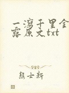 一泻千里金银花露原文txt