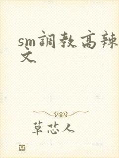 sm调教高辣h文