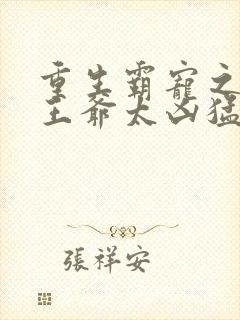 重生霸宠之摄政王爷太凶猛