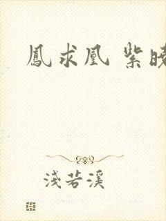 凤求凰 紫晓封面