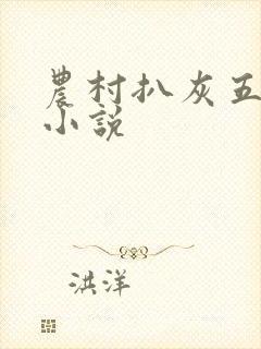 农村扒灰五十篇小说封面