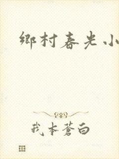 乡村春光小说
