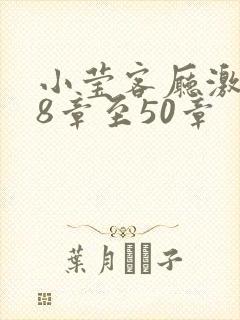 小莹客厅激情38章至50章封面