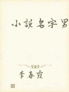小说名字男生