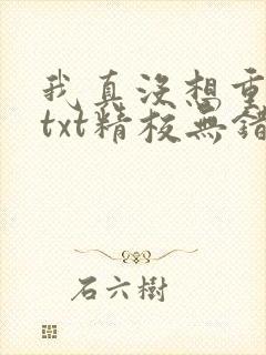 我真没想重生啊txt精校无错版