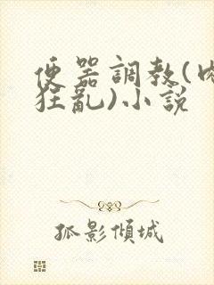 便器调教(肉体狂乱)小说封面