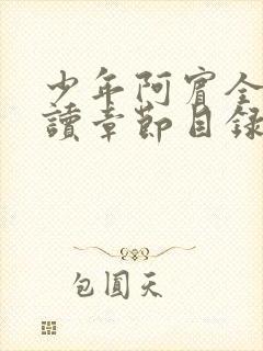 少年阿宾全文阅读章节目录封面