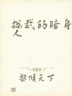 总裁的赔身小情人封面
