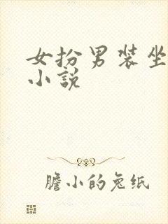 女扮男装坐江山小说