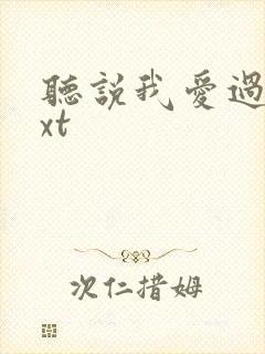 听说我爱过你txt