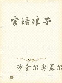 官场浪子封面