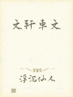 文轩车文