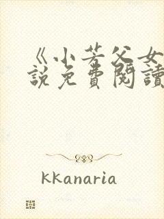 《小芳父女》小说免费阅读