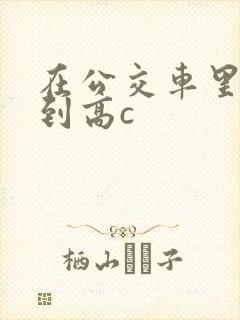 在公交车里c弄到高c
