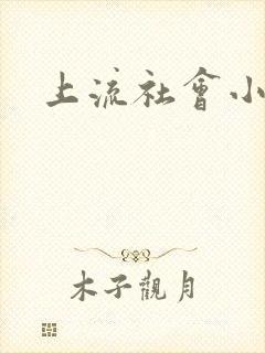 上流社会小说