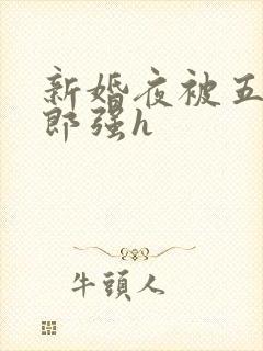 新婚夜被五个伴郎强h
