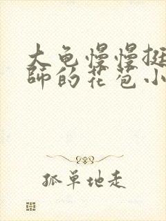 大龟慢慢挺进老师的花苞小说