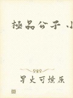 极品公子 小说