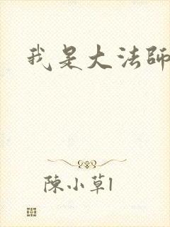 我是大法师封面