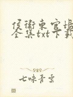 侯卫东官场笔记全集txt下载