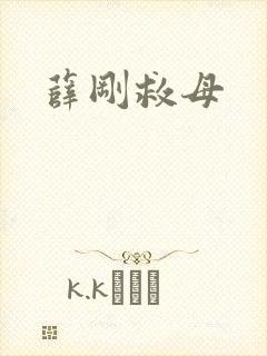 薛刚救母封面