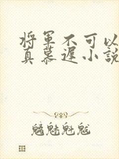 将军不可以魏云真慕迟小说笔趣阁