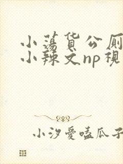 小荡货公厕h文小辣文np视频封面