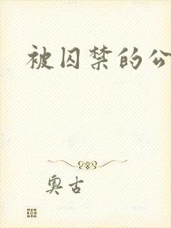 被囚禁的公主